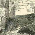 St. Saturninus Image of St. Saturninus