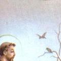 St. Francis of Assisi Image of St. Francis of Assisi